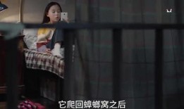 小孩爆料青泽的视频大全,视频大全背后的精彩瞬间